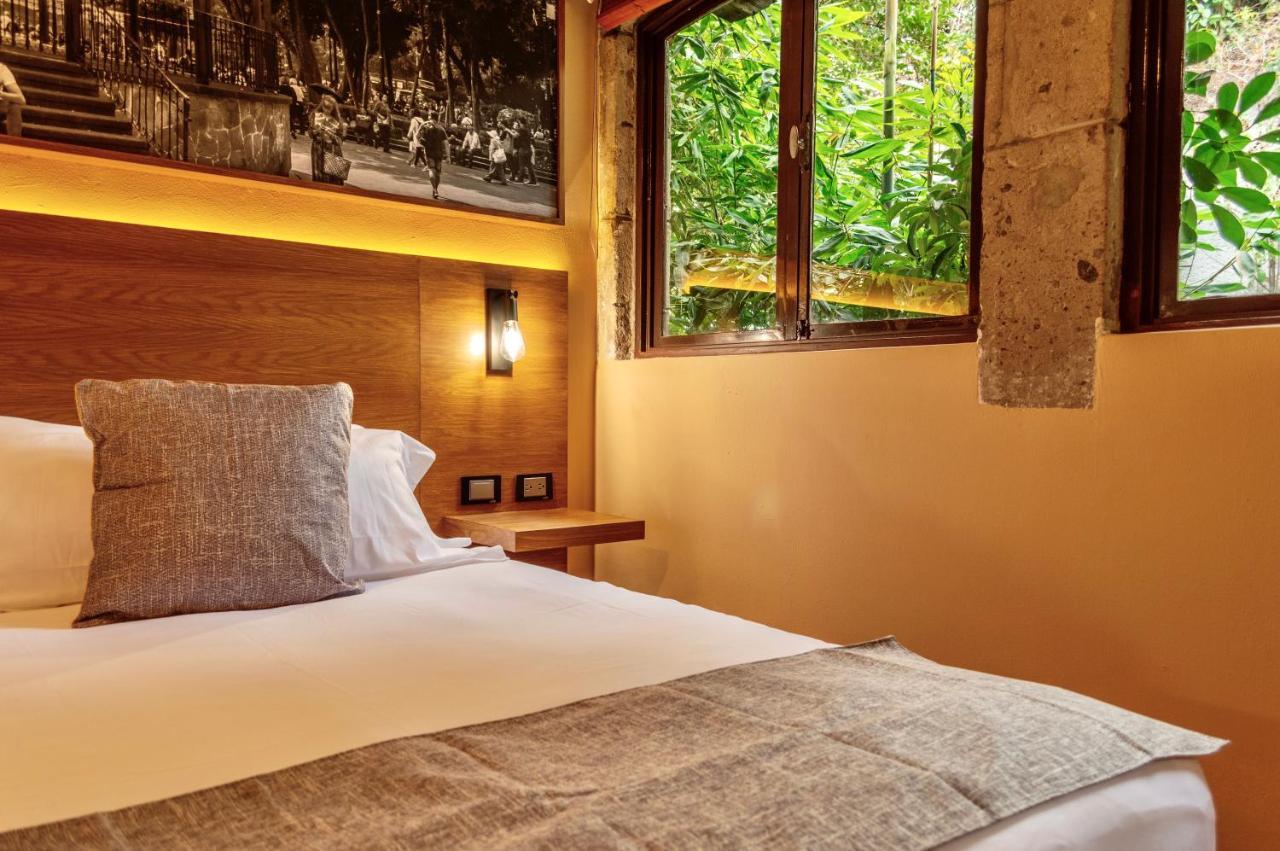 Mi Zona Lodging Coyoacan Мехіко Екстер'єр фото